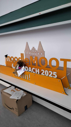 Moothel with the MoodleMoot DACH 2025 Lübeck Logo from the side