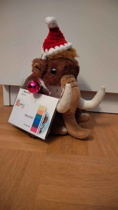 Moothel sitting in front the moot DACH letters.